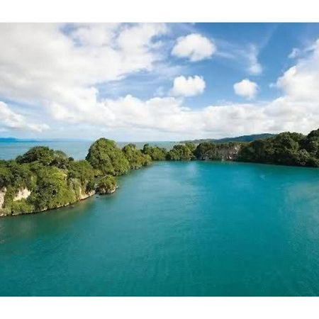 Room In Guest Room - Best Bed And Breakfast In Samana Breakfast Included Luaran gambar